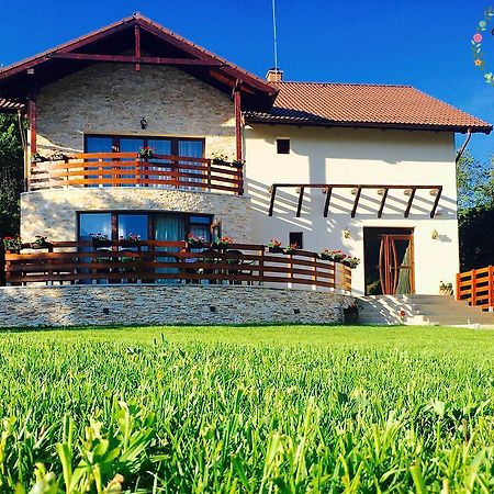 Pensiunea Casa Florela Capusu Mic Exteriör bild