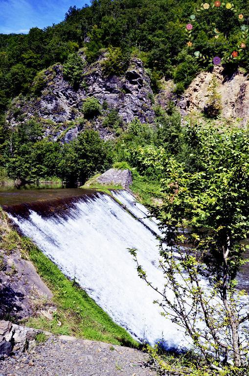 Pensiunea Casa Florela Capusu Mic Exteriör bild