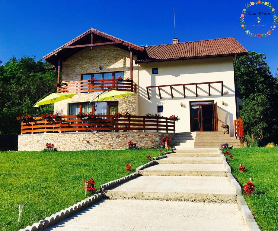 Pensiunea Casa Florela Capusu Mic Exteriör bild